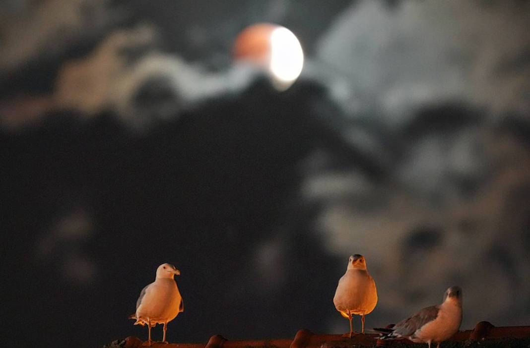 Doğa olayı mı, felaket habercisi mi? 'Kanlı Ay' tutulması ve bilimsel gerçekler 22